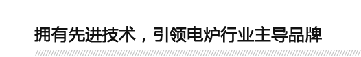 擁有先進(jìn)技術(shù)，引領(lǐng)電爐行業(yè)主導(dǎo)品牌